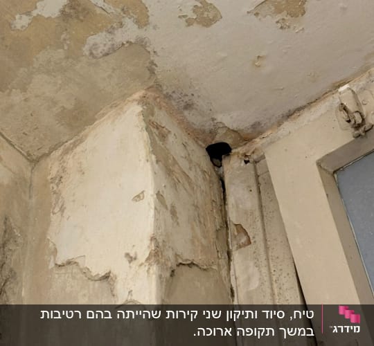 קיר מתקלף עם סימני רטיבות ותיקונים נדרשים